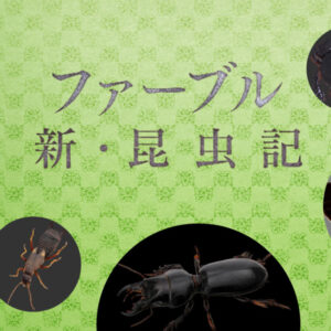 NHK ファーブル 新・昆虫記 AR